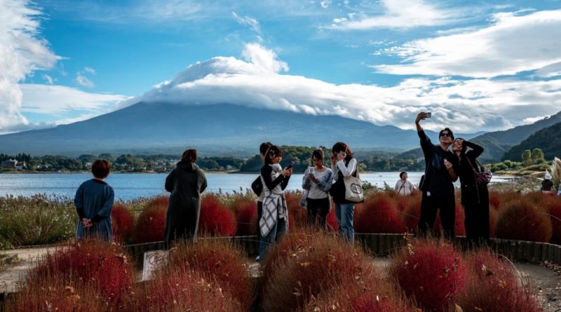 Japan tourist arrivals mark first fall in four years as Chinese visitors stay away Japan tourist arrivals mark first fall in four years as Chinese visitors stay away
