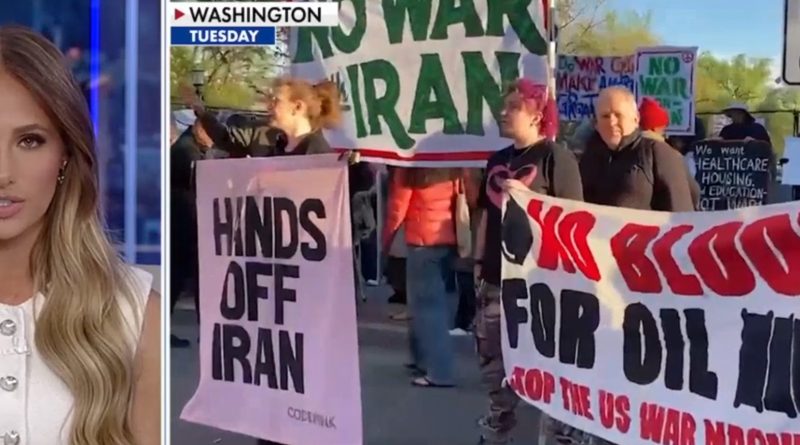 Pro-Iran, pro-China professional protest groups launch ‘rapid response mass mobilizations'